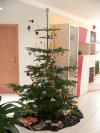 weihnachten99.jpg
