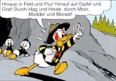 feld.jpg
